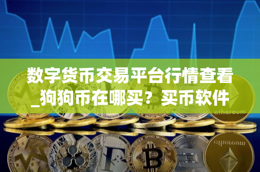 数字货币交易平台行情查看_狗狗币在哪买？买币软件排行榜