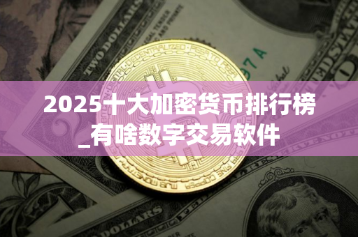 2025十大加密货币排行榜_有啥数字交易软件