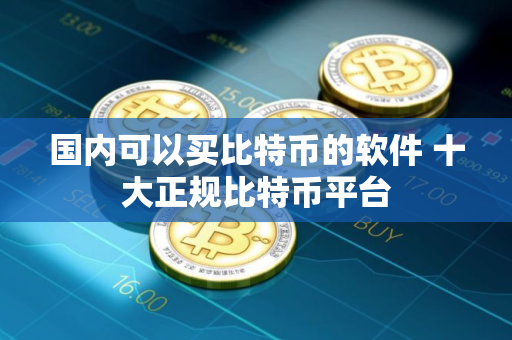 国内可以买比特币的软件 十大正规比特币平台