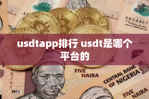 usdtapp排行 usdt是哪个平台的