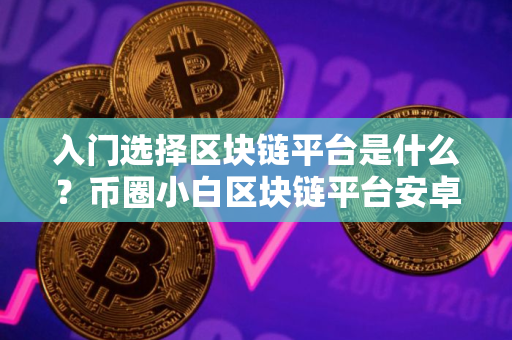 入门选择区块链平台是什么？币圈小白区块链平台安卓排行榜