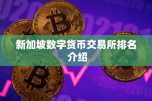 新加坡数字货币交易所排名 介绍