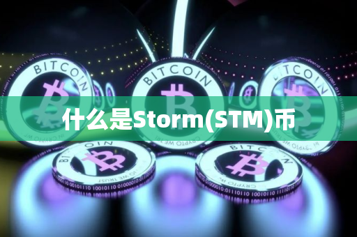 什么是Storm(STM)币