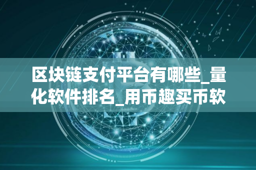 区块链支付平台有哪些_量化软件排名_用币趣买币软件