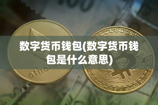 数字货币钱包(数字货币钱包是什么意思)