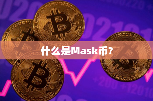 什么是Mask币?