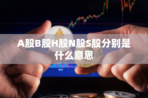 A股B股H股N股S股分别是什么意思