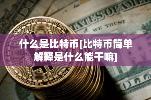 什么是比特币[比特币简单解释是什么能干嘛]