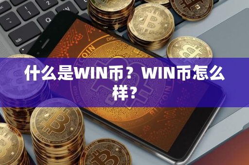 什么是WIN币？WIN币怎么样？
