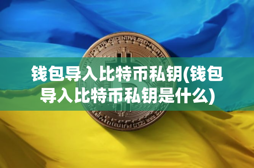 钱包导入比特币私钥(钱包导入比特币私钥是什么)