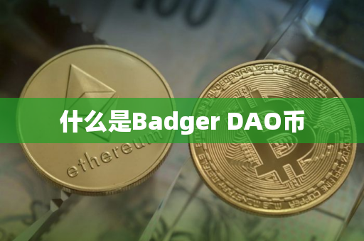 什么是Badger DAO币