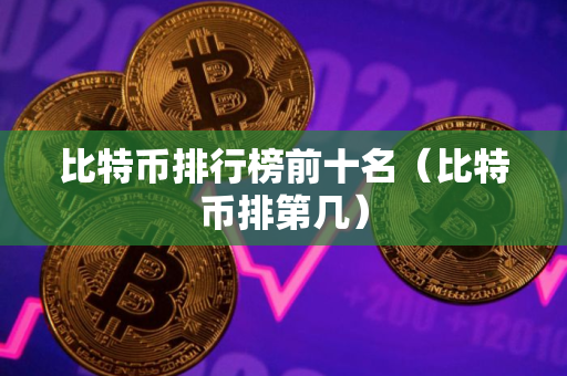 比特币排行榜前十名（比特币排第几）