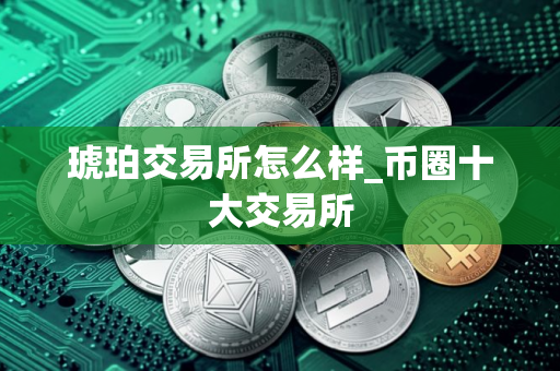 琥珀交易所怎么样_币圈十大交易所
