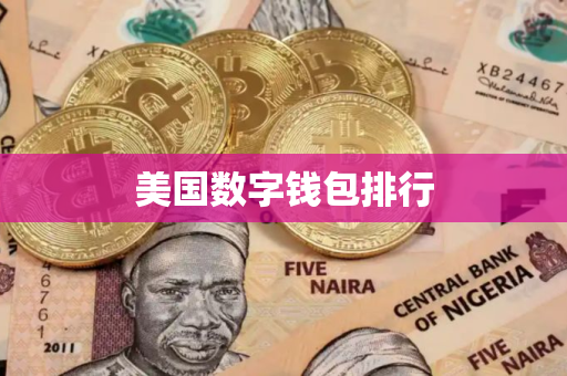 美国数字钱包排行