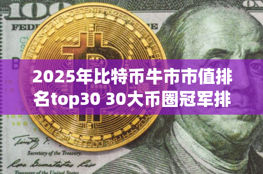2025年比特币牛市市值排名top30 30大币圈冠军排行