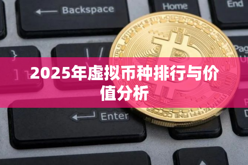 2025年虚拟币种排行与价值分析