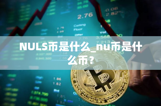 NULS币是什么_nu币是什么币? NULS币是什么_nu币是什么币?
