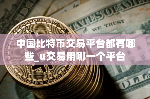 中国比特币交易平台都有哪些_u交易用哪一个平台