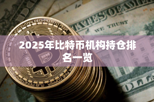2025年比特币机构持仓排名一览