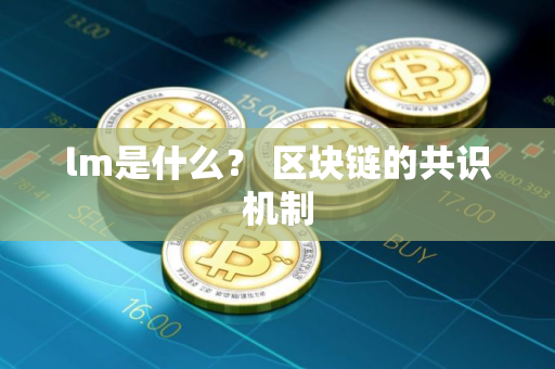 lm是什么？ 区块链的共识机制