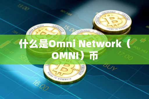 什么是Omni Network（OMNI）币