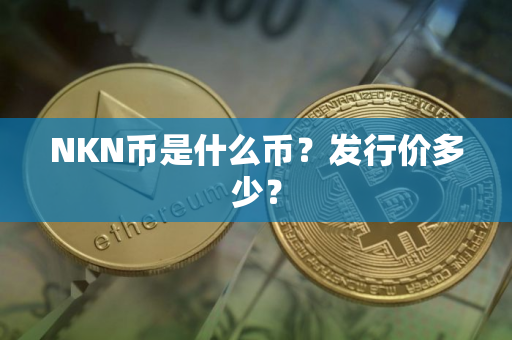 NKN币是什么币？发行价多少？