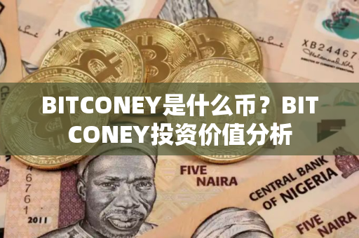 BITCONEY是什么币？BITCONEY投资价值分析