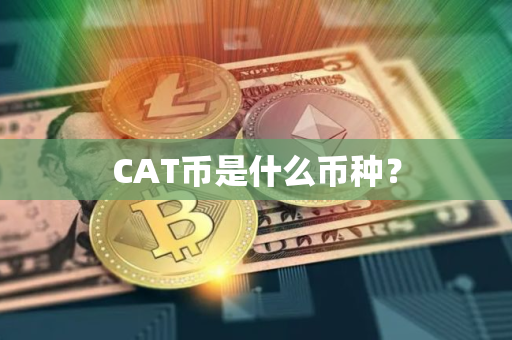 CAT币是什么币种？