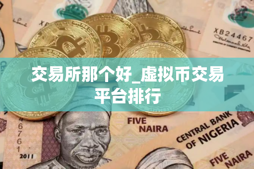 交易所那个好_虚拟币交易平台排行