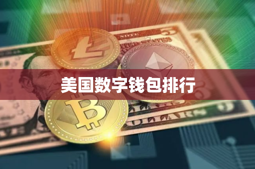 美国数字钱包排行