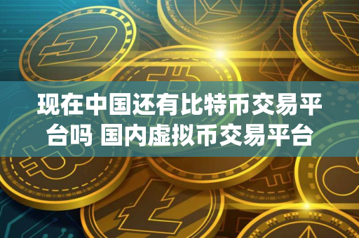 现在中国还有比特币交易平台吗 国内虚拟币交易平台app排行