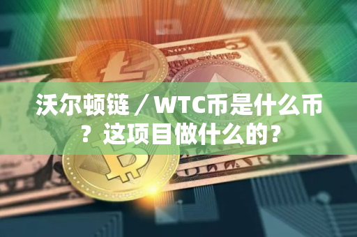 沃尔顿链／WTC币是什么币？这项目做什么的？
