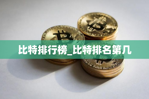 比特排行榜_比特排名第几