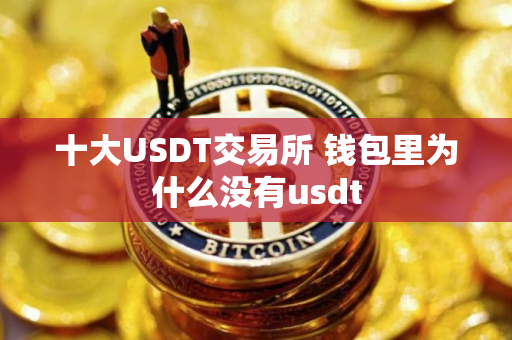 十大USDT交易所 钱包里为什么没有usdt