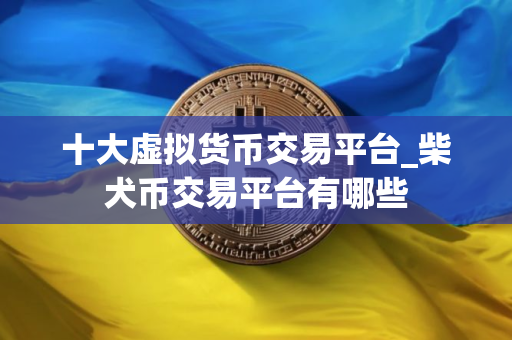 十大虚拟货币交易平台_柴犬币交易平台有哪些