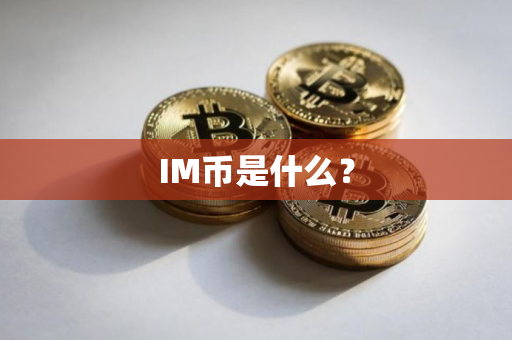 IM币是什么？