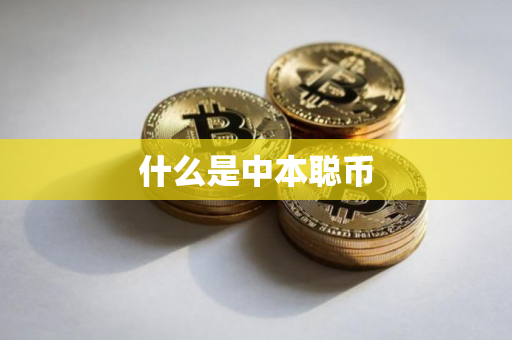 什么是中本聪币