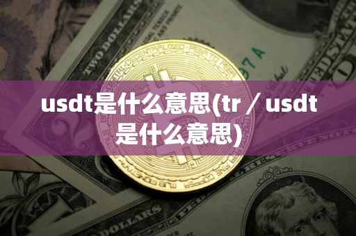 usdt是什么意思(tr／usdt是什么意思)