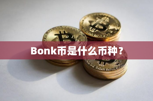 Bonk币是什么币种？
