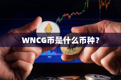 WNCG币是什么币种？