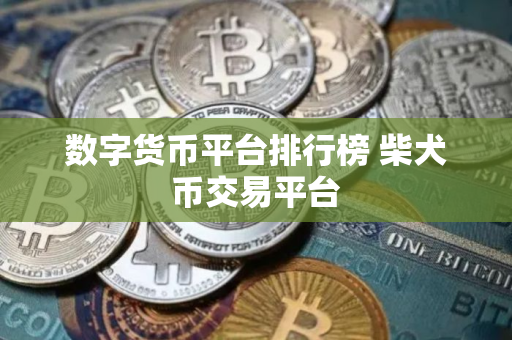 数字货币平台排行榜 柴犬币交易平台