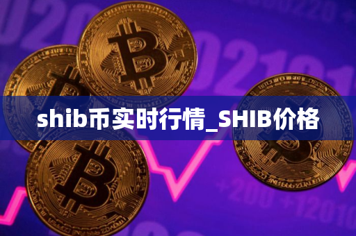 shib币实时行情_SHIB价格