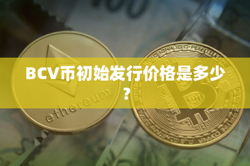 BCV币初始发行价格是多少？