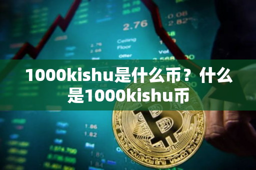 1000kishu是什么币？什么是1000kishu币