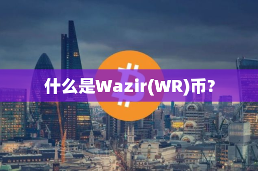 什么是Wazir(WR)币?