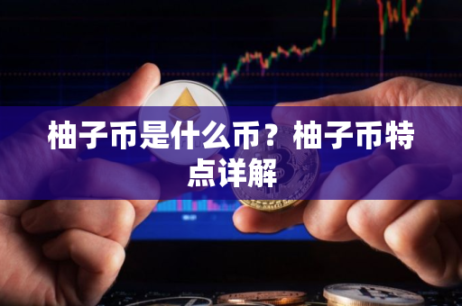 柚子币是什么币？柚子币特点详解