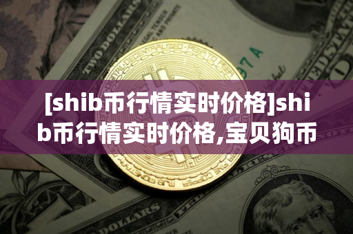 [shib币行情实时价格]shib币行情实时价格,宝贝狗币