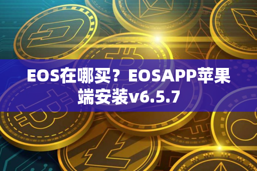 EOS在哪买？EOSAPP苹果端安装v6.5.7