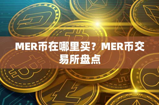 MER币在哪里买？MER币交易所盘点