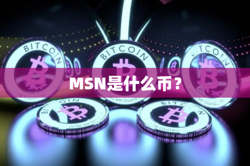 MSN是什么币？